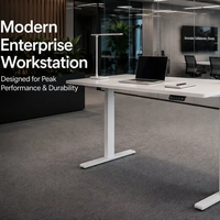 Bureau assis-debout électrique personnalisé à double moteur dissimulé, 3 niveaux, stable, réglable en hauteur, ergonomique, poste de travail de bureau