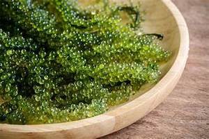 UVA DE MAR PURA ETIQUETA LIMPIA APOYO INMUNE A BASE DE PLANTAS NATURALES SUPERALIMENTO DE FUENTE OCÉANA - Product Image 4