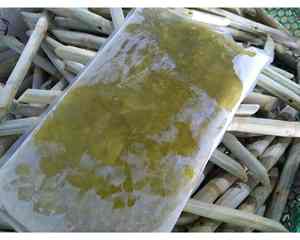 Forma de palo de caña de azúcar congelada de Vietnam para exportar caña de azúcar congelada disponible a granel para fabricantes de bebidas - Product Image 1