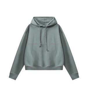 Sweat-shirt à capuche avec impression de logo personnalisée, 100% coton, streetwear lourd, pull uni, lourd, essentiel, ample, pour homme - Product Image 2