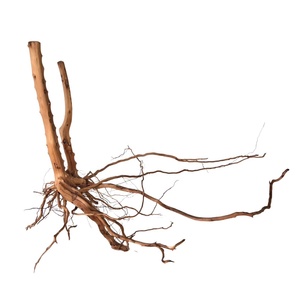 Bois d'araignée naturel pour Aquarium décoration d'aménagement paysager d'aquarium - Product Image 6