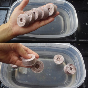 Pellet/semilla Jiffy de coco de granja y jardín que comienza con pellets de Coco para germinación al mejor precio - Product Image 2