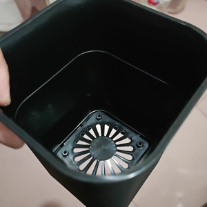 Direct Factory Production Hot New Thick Octagon Square Flower <b>Pots</b> <b>Mini</b> Stone Lotus Black <b>Pots</b> for Floor for Table Garden-Pavico - Product Image 5