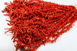 Perles brutes de bâton de corail rouge italien naturel perles de pierres précieuses de corail italien taille 30X4MM à 7X3MM 16'Inch fabrication de bijoux - Product Image 6