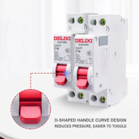 Disjoncteur miniature DELIXI DE47P 1P+N en cuivre, capacité de coupure 6kA pour usage domestique et industriel