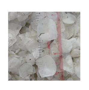 เกล็ดปลานิลอบแห้งแดด - Product Image 2