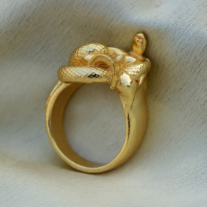 Anillos Góticos de Calavera y Serpiente, Anillos de Latón Chapados en Oro de 18k, Anillos Punk Biker al por Mayor para Hombre - Product Image 5
