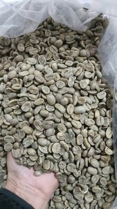 เมล็ดกาแฟอาราบิก้าออร์แกนิคแบบเป็นมิตรต่อสิ่งแวดล้อม ปลอดสาร GMO เกรด GCB26 ยี่ห้อ IIGLOBAL จากแลมตง เวียดนาม ขายส่งเพื่อการส่งออก - Product Image 3