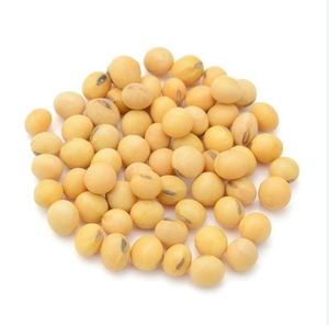 Grain de soja biologique - Product Image 4