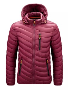 Men's Blue Hooded Puffer Jacket Windproof Casual Winter Coat Polyester Filling Zipper Closure Regular Fit - Product Image 3