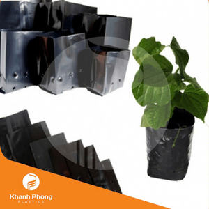 Bolsas de Vivero de PE Negras de Alta Calidad para Plantación Temporal, Suministradas por Fabricante Vietnamita - Product Image 4