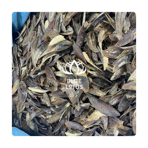 Concha de Murex Limpia en OFERTA, Ideal para Componentes de Popurrí y Artículo de Fragancia Única, Concha Aséptica para Mayor Limpieza - Product Image 1