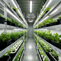 Solution de ferme hydroponique automatisée en conteneurs pour projets d'agriculture intérieure, agriculteurs commerciaux et investisseurs agricoles