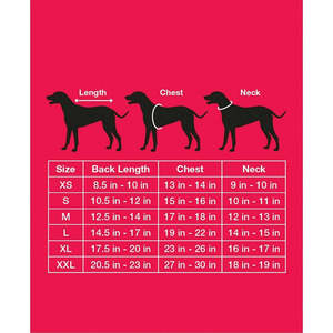 Pigiami Bianchi XL per Famiglia, Set Coordinato con Bandana per Animali Domestici, Cappotto in Bambù XS per Gatti, Accessori Natalizi Lavabili - Product Image 3