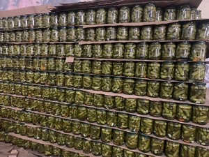 Concombre en conserve très demandé pour le traitement de la conserve commerciale et l'approvisionnement en ingrédients alimentaires au Vietnam - Product Image 3