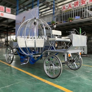 Conte de fées romantique mariage Royal Horse Carriage 4 roues électrique Cendrillon thème citrouille mariée entrée chariot pour 4-6 personnes - Product Image 6