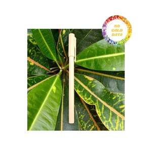 Bamboo <b>Pen</b> Handcrafted In Vietnam Designed For Regular Writing Creative Expression Office Functions Offering Balanced Form - Product Image 3