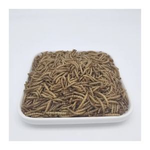 PET <span class=keywords><strong>FOOD</strong></span> Secas Black Soldier Fly Larvas Secas Mealworm <span class=keywords><strong>High</strong></span>-<span class=keywords><strong>Protein</strong></span> Chicken, Reptile, and <span class=keywords><strong>Bird</strong></span> Treats - Product Image 3