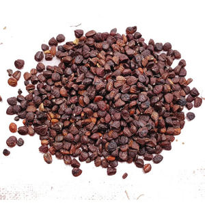 Organic Doi Seeds-Graines sauvages fraîchement récoltées du Vietnam - Product Image 6