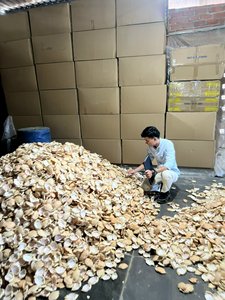 Coquilles de crabe séchées de haute qualité pour l'artisanat, coquilles entières nettoyées, teneur en sel <2%, séchées naturellement, 5kg/carton, prix de gros abordable - Product Image 5