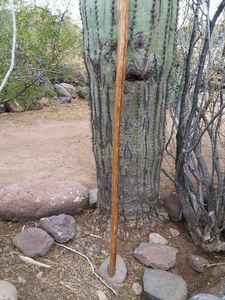 "Canne de marche en bois naturel" Bâton de randonnée en bois fait main pour personnes âgées "" - Product Image 2