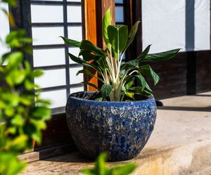 [Jason] Macetas de Cerámica Esmaltada para Plantas de Balcón, Venta al por Mayor |   Macetas Grandes para Jardín, Decoración del Hogar y Escritorio - Product Image 3