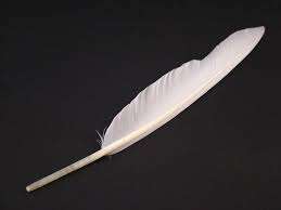 Plumes de canard teintes naturelles blanches lavées, sélectionnées de qualité supérieure pour la décoration et la fabrication de costumes - Product Image 5