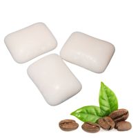 Vente en gros de chewing-gum à la saveur fruitée au xylitol pour soins dentaires, emballage en vrac