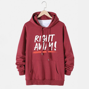 Sudadera con capucha de algodón de peso pesado de alta calidad, Sudadera con capucha de lana con patrón sólido de invierno con logotipo impreso Digital personalizado - Product Image 5