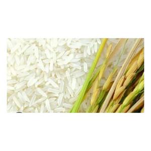 Riz Basmati Doublement Cuit à la Vapeur de Qualité Supérieure 1121 pour les Marchés Africains et Moyen-Orientaux - Product Image 3