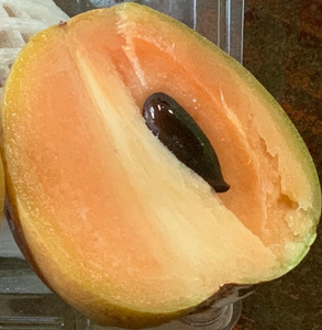 Sapodille fraîche de qualité supérieure à prix avantageux en provenance du Vietnam - Product Image 4