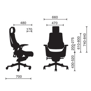 เก้าอี้สำนักงานระดับไฮเอนด์ Ergonomic Wonder II-01 ดีไซน์ร่วมสมัย พร้อมวัสดุโลหะโครเมียมและตาข่าย รุ่น HOGVP127 - Product Image 4
