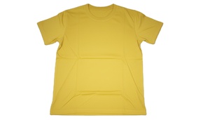 T-shirt en polyester tricoté, écologique, à séchage rapide, personnalisable en couleur et taille, imprimé pour campagne électorale, provenant d'un fournisseur de Mumbai, Inde - Product Image 4
