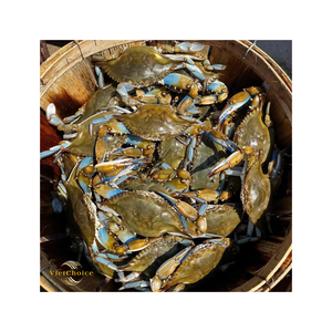 Panier de transport en bois naturel tressé, écologique, articles de gros de qualité supérieure, fabrication rapide au Vietnam - Product Image 1