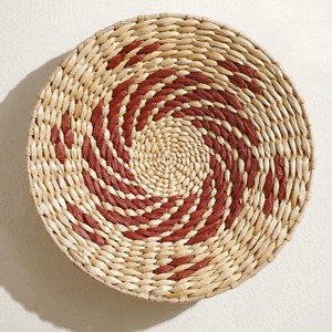 Decoración de pared de restaurante de buena calidad, arte colgante de jacinto de agua natural, centro de mesa para exhibir en la pared - Product Image 3