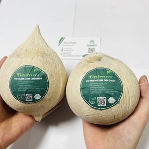 Coco Entero Pulido - Cáscara Limpia, Grado de Exportación de Vietnam - Product Image 2