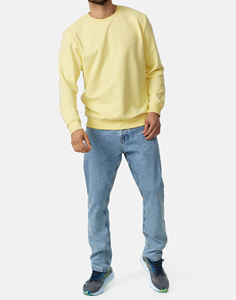 Marque personnalisée 100% coton poids lourd solide couleur unie col rond à la mode pull à manches longues sweat-shirt pour l'hiver imprimer - Product Image 1