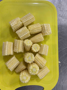 Maíz Congelado Al Por Mayor De Vietnam Naturalmente Dulce Y Tierno Ideal Para Cocinar Sopas Ensaladas Y Comidas Preparadas - Product Image 5