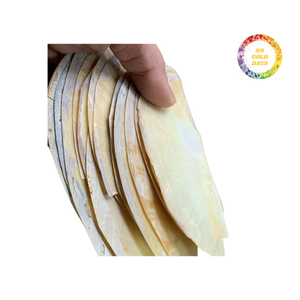Rebanadas de concha de nácar personalizadas para proyectos de arte, murales de pared y artesanía de lujo - Product Image 2