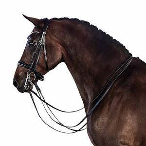 Brevet Essential Double Bridle Seasonal Old Snake certifié ISO 9001 personnalisable sur demande expédition en gros sur mesure - Product Image 3