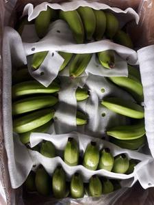 Les bananes Cavendish fraîches les moins chères et de la meilleure qualité – Bananes vertes Cavendish bio de haute qualité, cultivées avec soin - Product Image 5