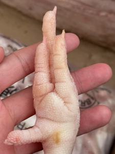 ตีนไก่แช่แข็งพรีเมียมฮาลาลขายดีอันดับต้นๆ - Product Image 2