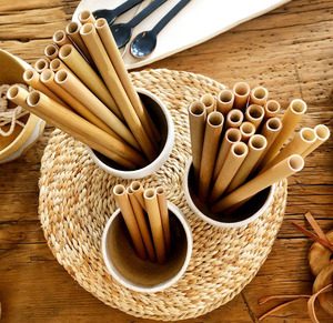 Pajitas de Bambú de Vietnam para Venta al por Mayor, OEM y Marca Privada, Solución Libre de Plástico - Product Image 2