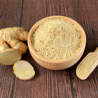 POUDRE DE GINGEMBRE CHOLA SUPERALIMENTS POUDRE DE GINGEMBRE PREMIUM GRADE POUDRE DE GINGEMBRE FACILEMENT DISPONIBLE AU VIET NAM