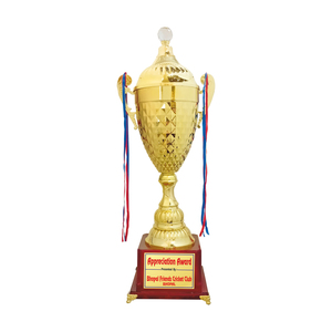 Nuevo diseño Sport Trophy Cricket Competition Award Metal Trophy Cup - Product Image 1