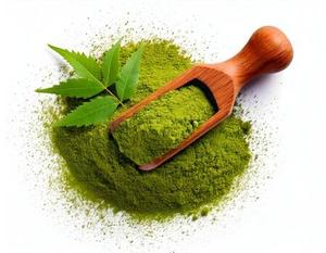Poudre de feuilles de Neem sauvage de qualité supérieure, 100 % pure et naturelle, Azadirachta Indica, certifiée GMP, favorise la détoxification digestive, bien-être à base de plantes - Product Image 6