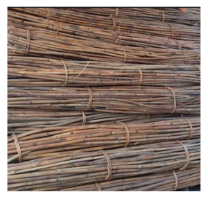 Canne en rotin naturel du Vietnam, fournisseur en gros pour les usines d'artisanat et les articles de décoration intérieure - Product Image 3