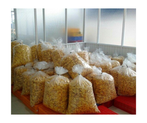 Fábrica OEM de patatas fritas de Jaca secas de Vietnam, suministro a granel al por mayor, aperitivos dulces crujientes naturales, Exportación lista para el mercado global - Product Image 6