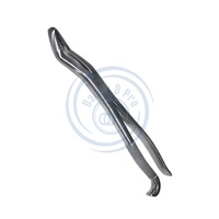 Pince d'extraction de dents de loup vétérinaire fabriquée à la main en acier inoxydable dentaire équin Instruments de haute qualité réutilisables classe I CE