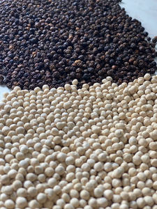 พริกไทยดำดิบอบแห้งคุณภาพพรีเมียมจากโรงงาน เครื่องเทศเวียดนาม สมุนไพร 10 กก. ขายส่งจำนวนมาก คุณภาพมาตรฐานยุโรป ราคาดี ติดต่อเรา - Product Image 4